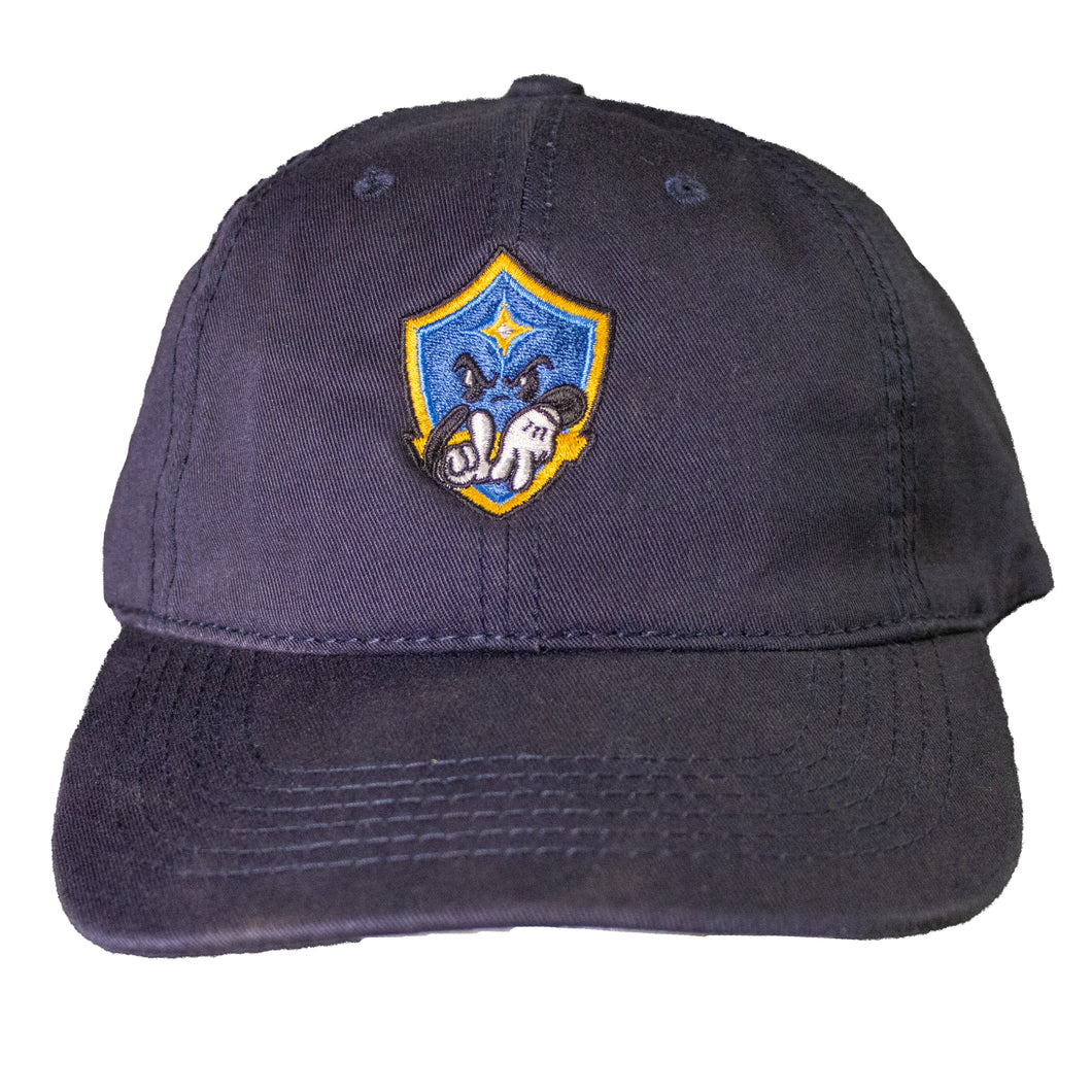 Galaxy Art Fire - Crest Collab Dad Hat